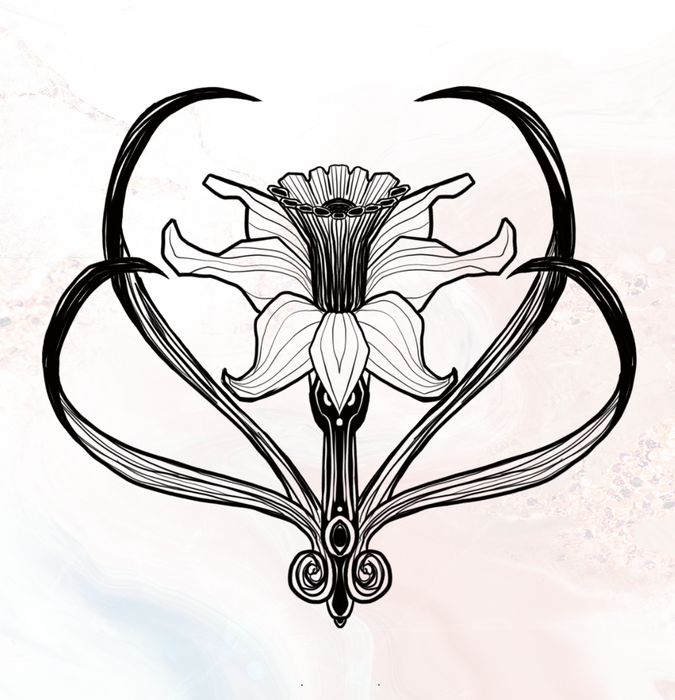 26_resized