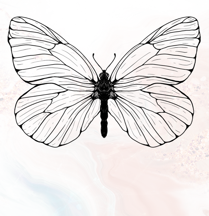 43_resized
