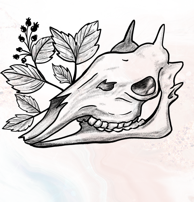50_resized